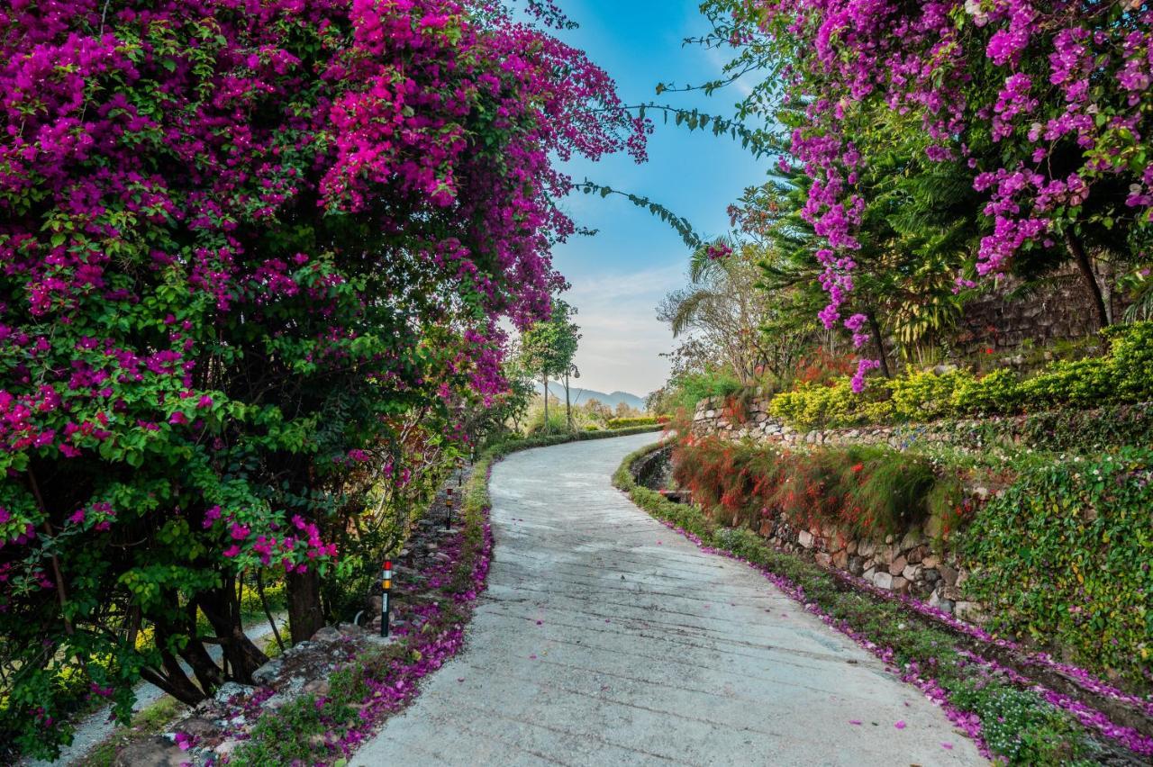 Tree Of Life Resort Dehradun Foothills Exterior photo